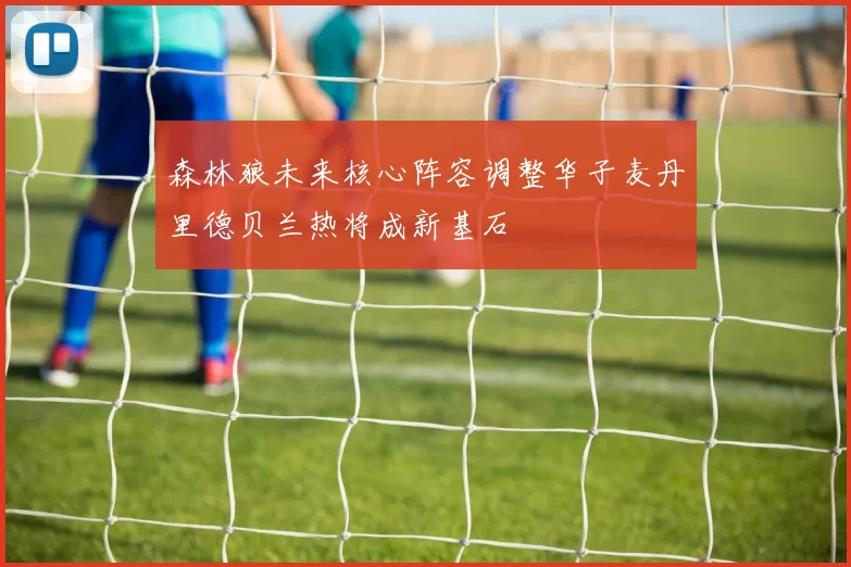 森林狼未来核心阵容调整华子麦丹里德贝兰热将成新基石